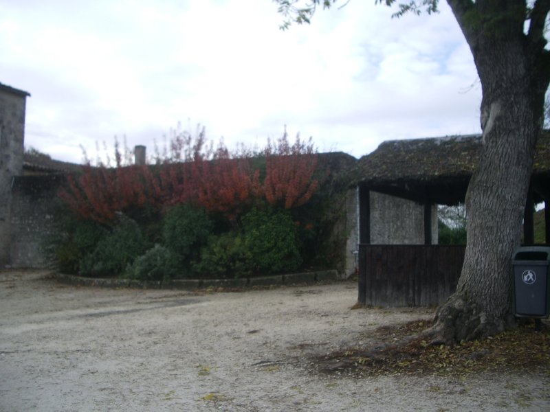 imgp3619.jpg
