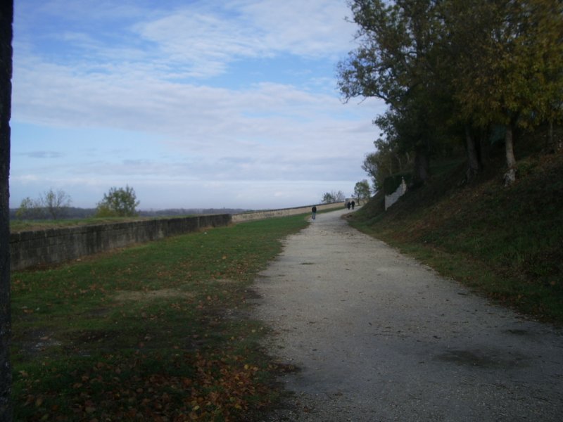 imgp3631.jpg