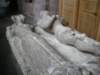 imgp4062_small.jpg