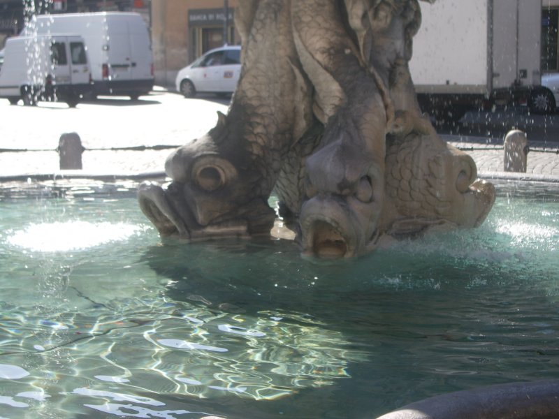 imgp2217.jpg