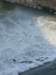 imgp2293_small.jpg