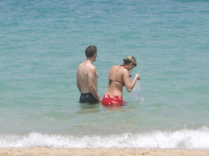 imgp2928.jpg