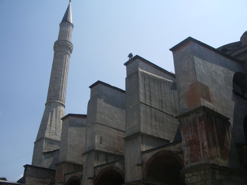 imgp3021.jpg