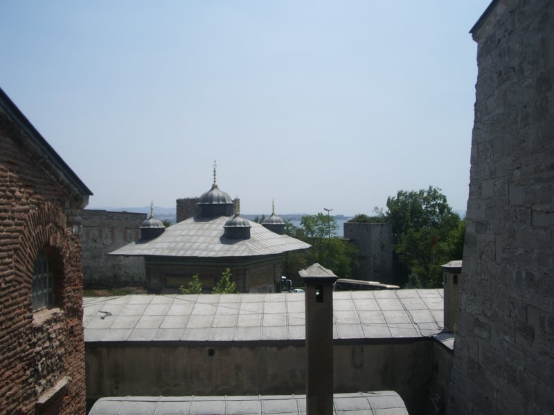 imgp3048.jpg