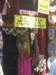 imgp3085_small.jpg
