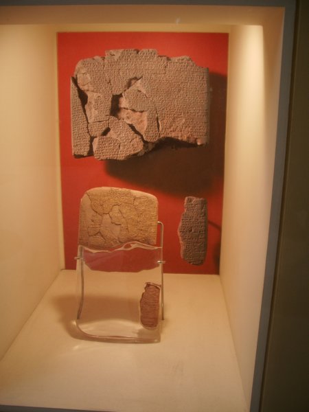 imgp3095.jpg