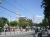 imgp3114_small.jpg