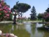 imgp3120_small.jpg