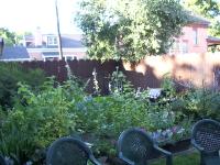 IMGP0841 